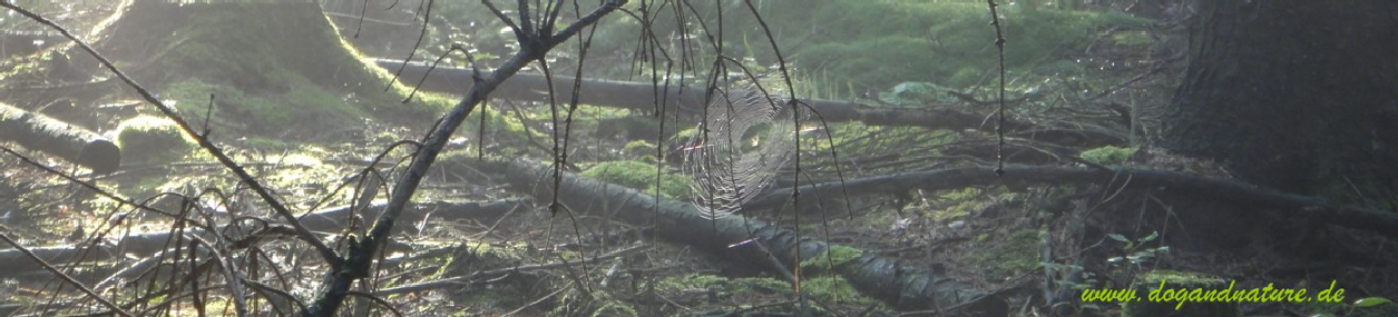 dsc00689_4131 dsc00689_4131